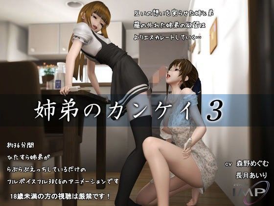 3DCG|姉弟のカンケイ3❤IMP【】