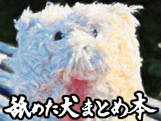 ギャグ・コメディ|舐めた犬まとめ本❤舐めた犬【】