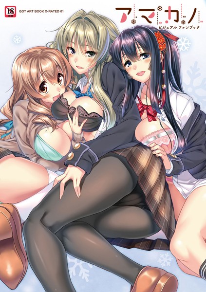 単行本|アマカノビジュアルファンブック❤【ピロ水】