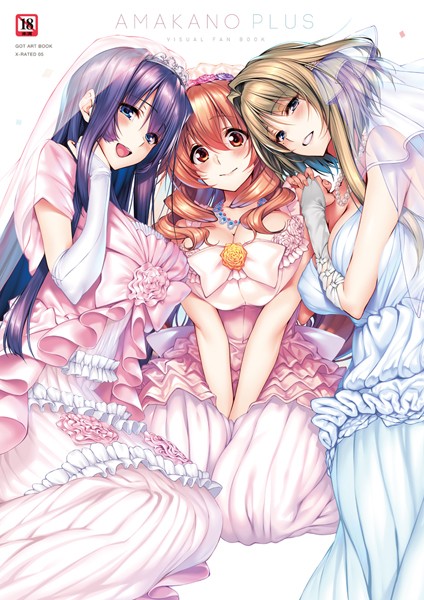 単行本|アマカノ＋ ビジュアルファンブック❤【ピロ水】