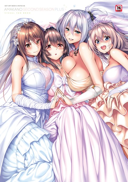 単行本|アマカノ〜Second Season〜＋（プラス）ビジュアルファンブック【FANZA限定特典付き】❤【ピロ水】