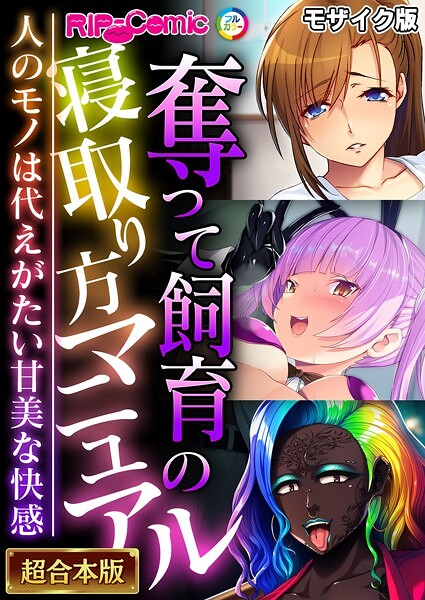 フルカラー|奪って飼育の寝取り方マニュアル 〜人のモノは代えがたい甘美な快感〜【超合本シリーズ】 モザイク版❤【BENETTY】