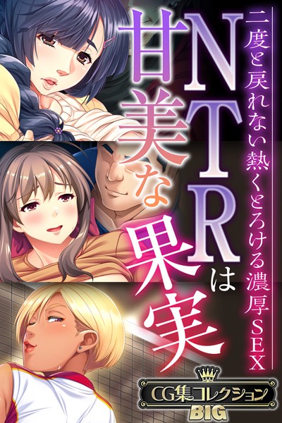単行本|NTRは甘美な果実〜二度と戻れない熱くとろける濃厚SEX〜【CG集コレクションBIG】❤【大人のSEXY絵本】